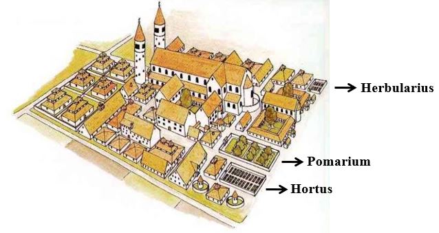 les simples médecines - reconstitution de l'abbaye du plan de Saint Gall et ses trois jardins