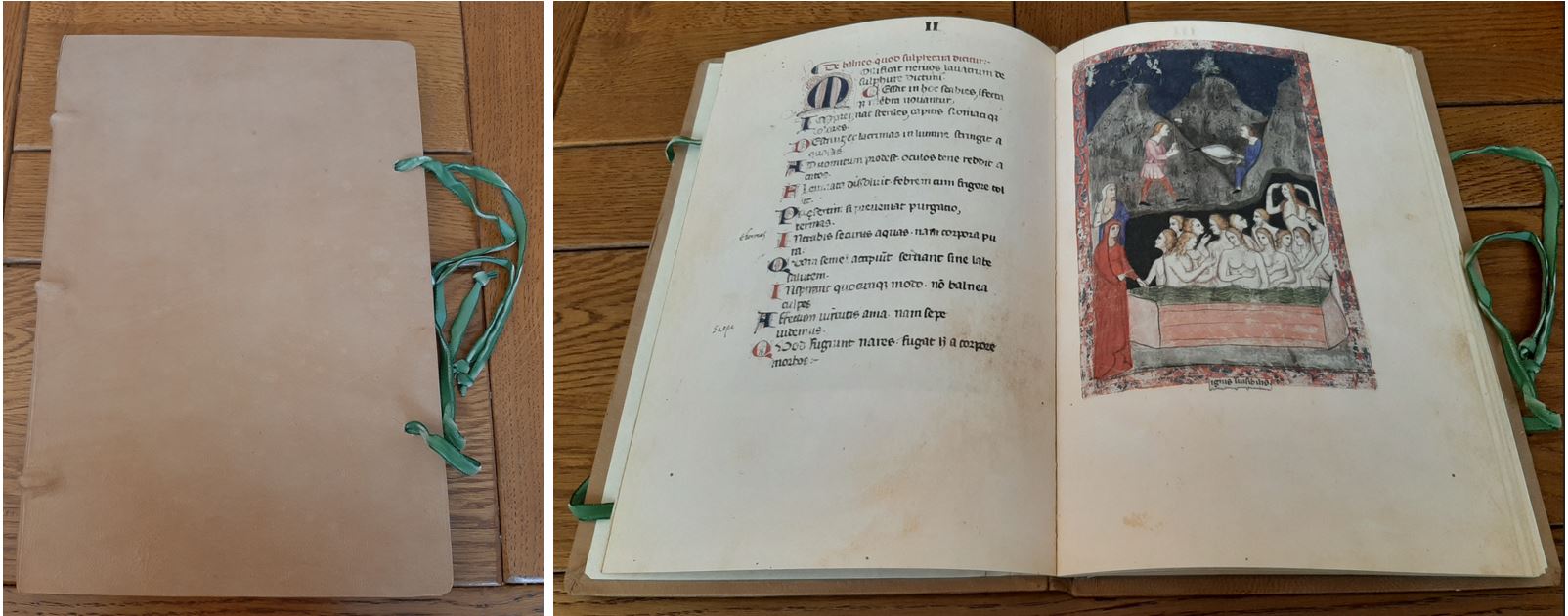 Facsimile du balneis puteolanis