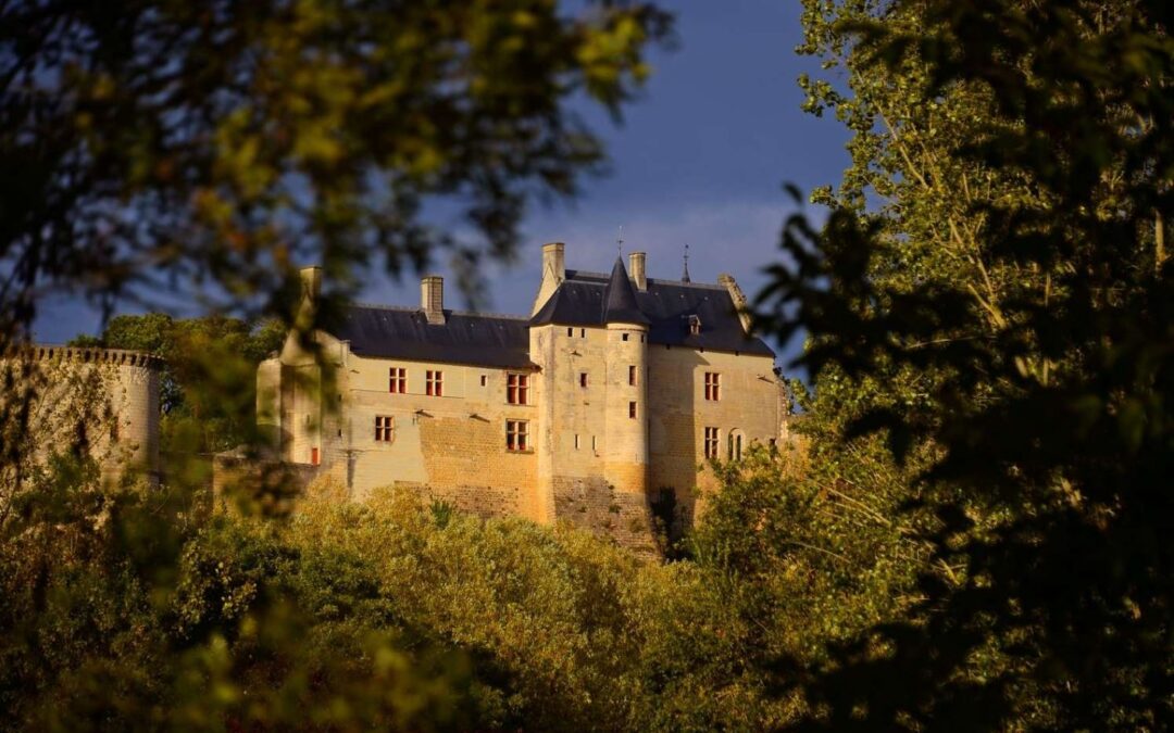 Trésors royaux et Plantes médicinales à la Forteresse de Chinon