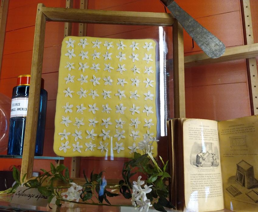 Technique de collecte de fleurs
