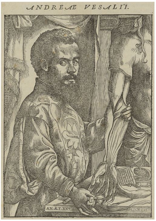 Portrait d'André Vésale.