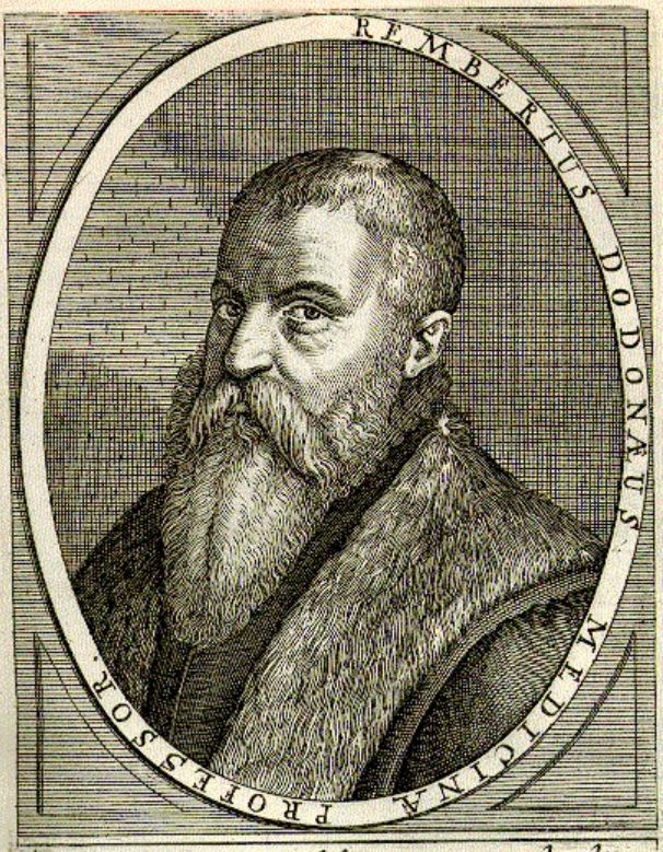 Portrait de Rembert Dodoens de 1669