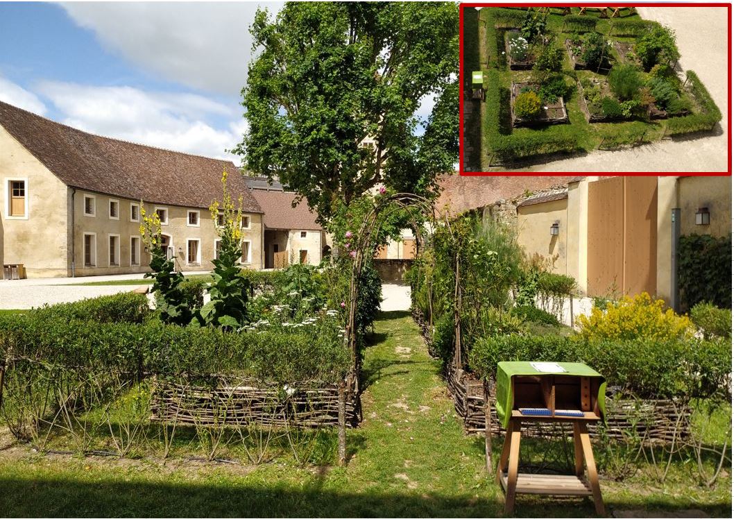 Aspect du jardin