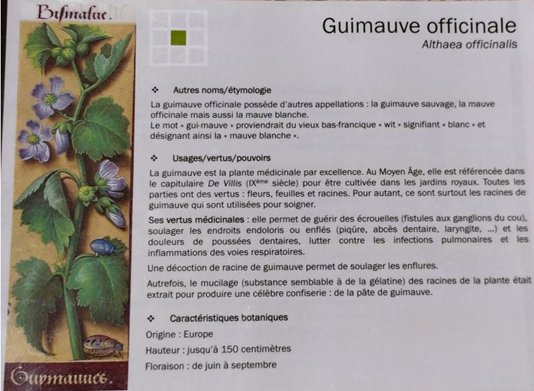 Exemple de fiche des livrets 